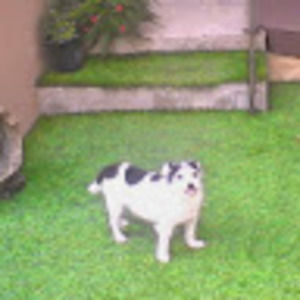 Meet your Posher, Gary